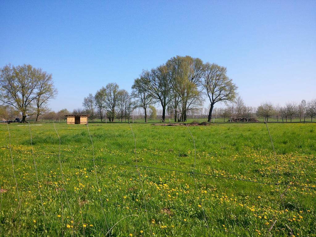 Ferienhof Idyll Am Kleinen Fliess Burg  Luaran gambar