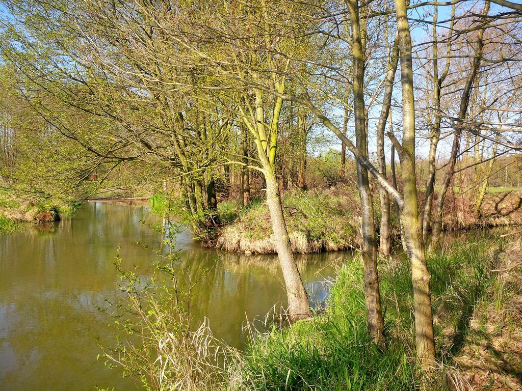 Ferienhof Idyll Am Kleinen Fliess Burg  Luaran gambar