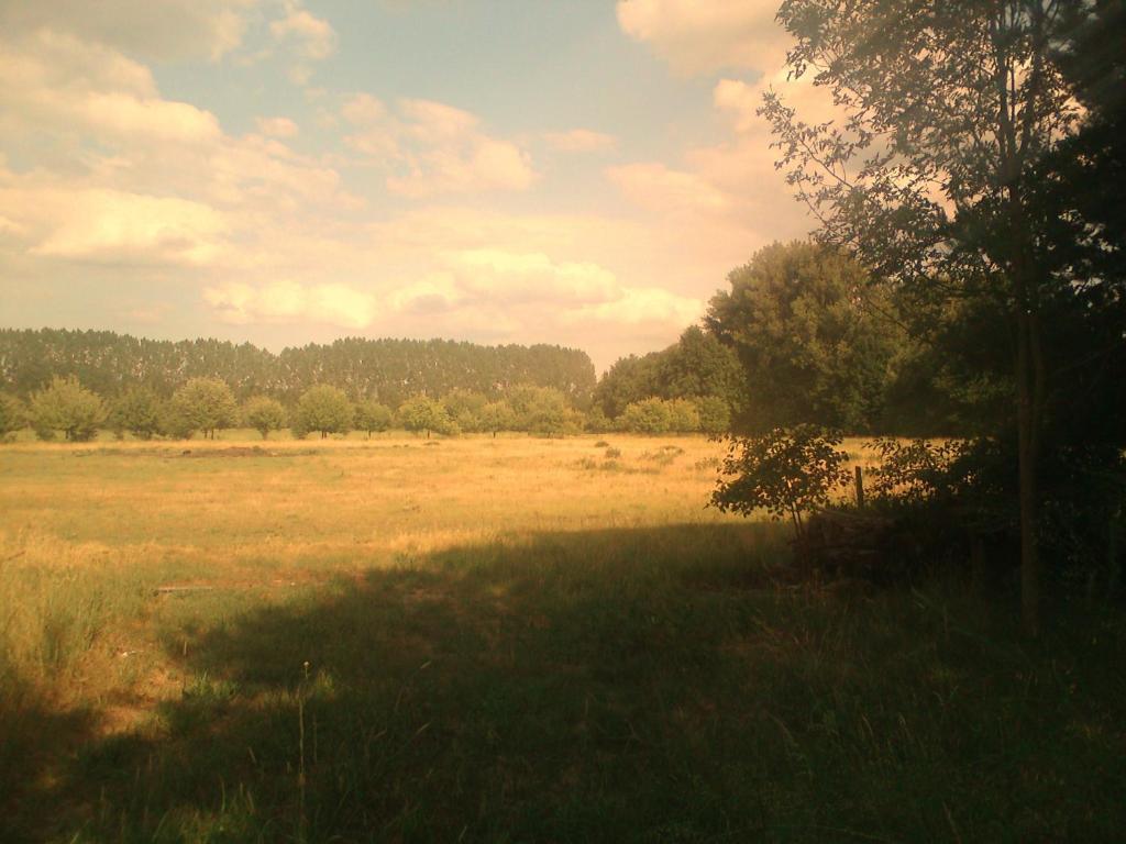 Ferienhof Idyll Am Kleinen Fliess Burg  Luaran gambar