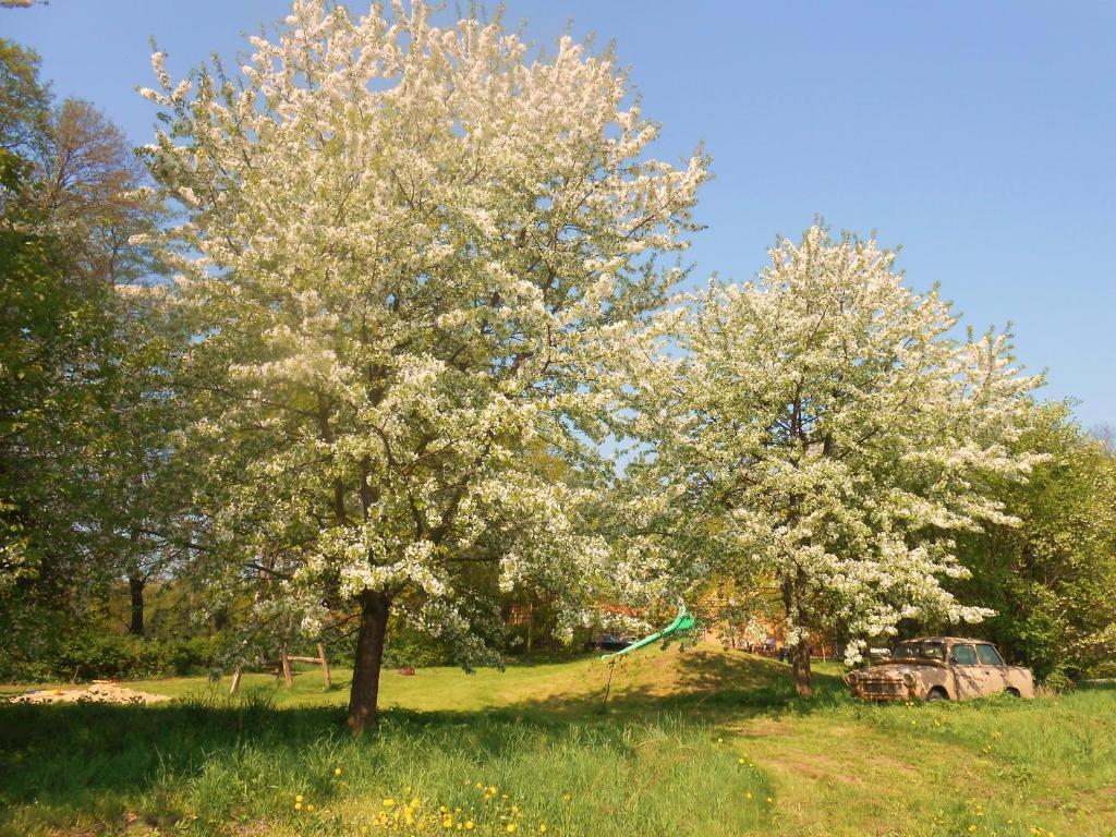 Ferienhof Idyll Am Kleinen Fliess Burg  Luaran gambar